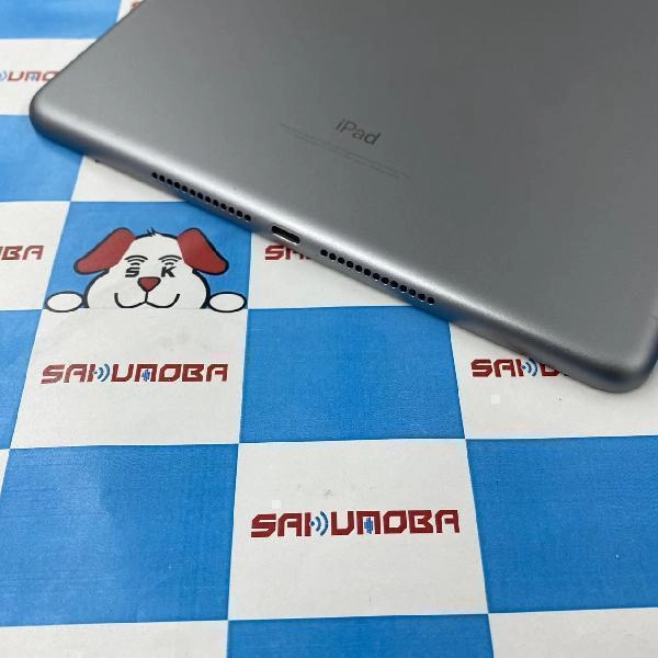 iPad 第6世代 docomo版SIMフリー 32GB MR6N2J/A A1954