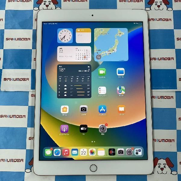 iPad 第7世代 SoftBank版SIMフリー 32GB MW6D2J/A A2198 訳アリ品