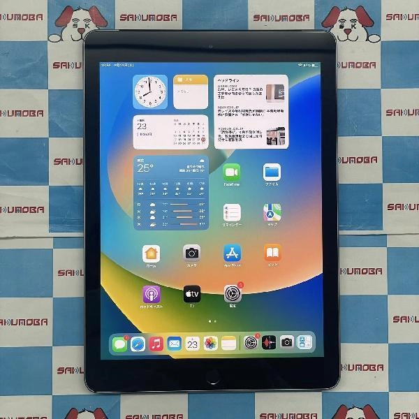 iPad 第6世代 au版SIMフリー 128GB MR722J/A A1954 極美品