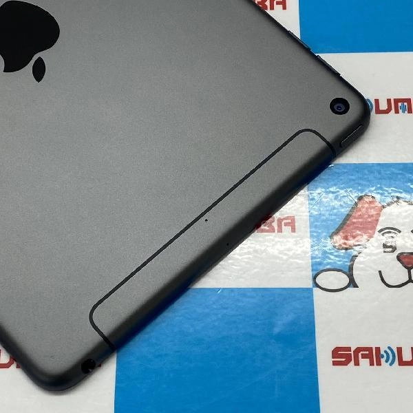 iPad mini 第5世代 SoftBank版SIMフリー 64GB MUX52J/A A2124 極美品 スペースグレイ