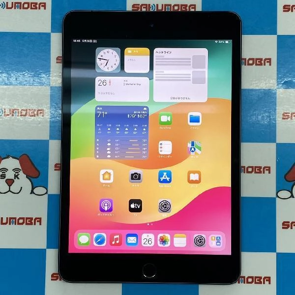 iPad mini 第5世代 Apple版SIMフリー 64GB MUX52J/A A2124 極美品 スペースグレイ