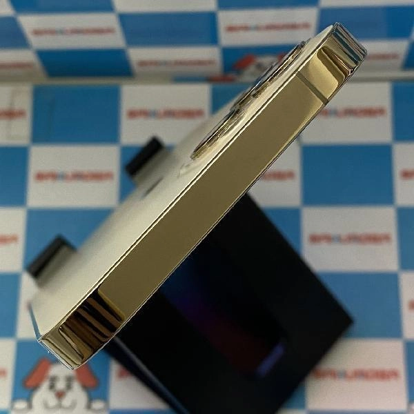 iPhone12 Pro docomo版SIMフリー 256GB MGMC3J/A A2406 極美品 ゴールド