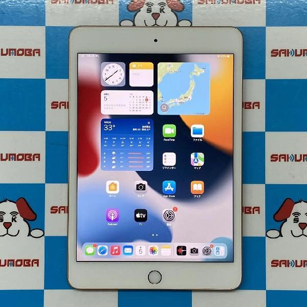 iPad mini 第5世代 Wi-Fiモデル 256GB MUU62J/A A2133 極美品 ゴールド