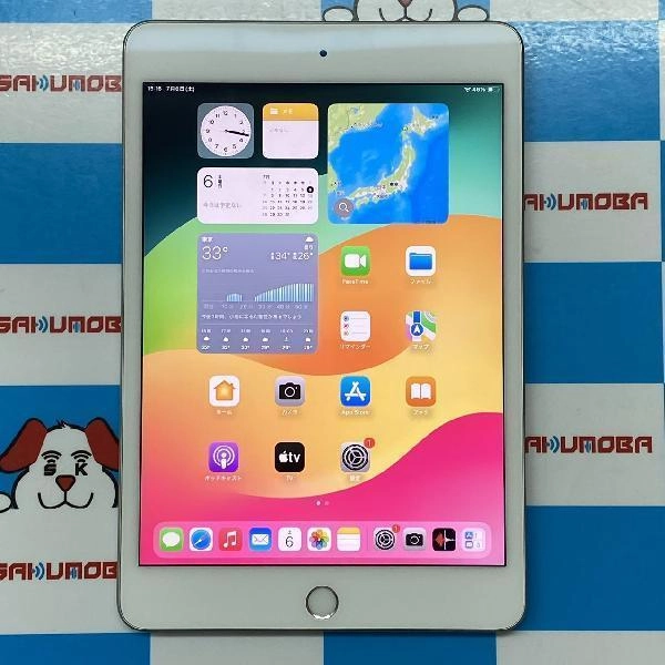 iPad mini 第5世代 Wi-Fiモデル 64GB MUQX2J/A A2133 極美品 シルバー