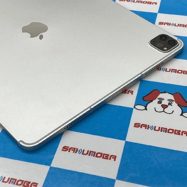 iPad Pro 12.9インチ 第5世代 Apple版SIMフリー 256GB MHR73J/A A2461 新品同様 シルバー