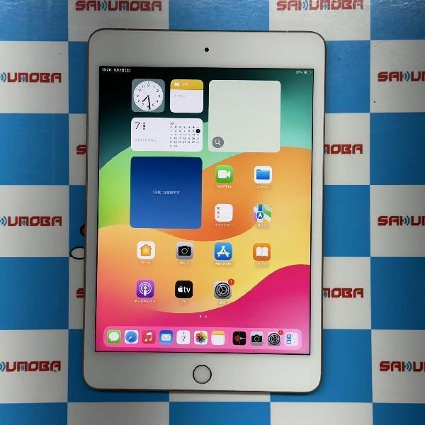 iPad mini 第5世代 SoftBank版SIMフリー 64GB MUX72J/A A2124 極美品 ゴールド
