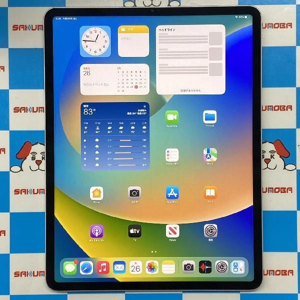 iPad Pro 12.9インチ 第5世代 Wi-Fiモデル 128GB MHNG3J/A A2378 極美品 シルバー