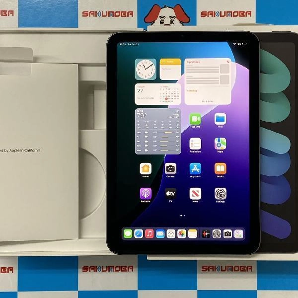 iPad mini 第6世代 Wi-Fiモデル 256GB MK7T3J/A A2567 極美品