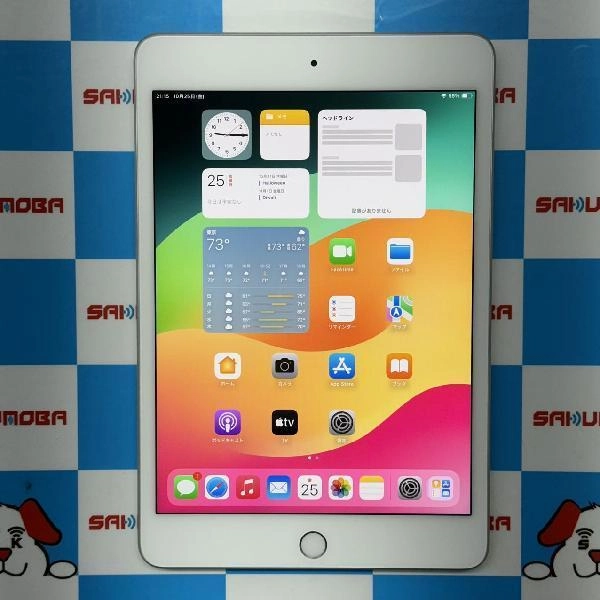 iPad mini 第5世代 Wi-Fiモデル 64GB FUQW2J/A A2133 極美品 シルバー
