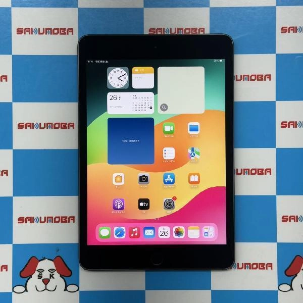 iPad mini 第5世代 Wi-Fiモデル 64GB MUQW2J/A A2133 極美品 スペースグレイ
