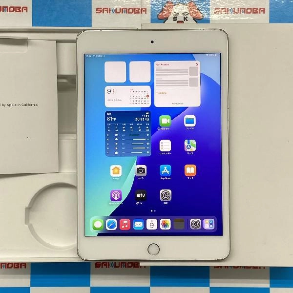 iPad mini 第5世代 au版SIMフリー 256GB MUXD2J/A A2124 訳あり品 シルバー