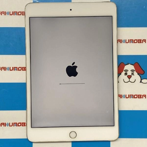 iPad mini 第4世代 docomo版SIMフリー 32GB MNWG2J/A A1550 訳あり品 ゴールド