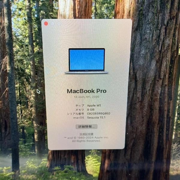 MacBook Pro 13インチ M1 2020 256GB MYD82J/A A2338 スターライト
