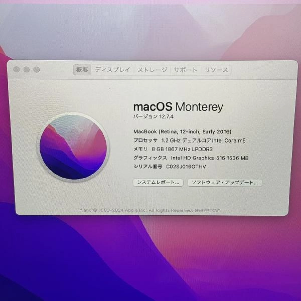 Macbook Retina 12インチ Early 2016 512GB MLH82J/A A1534 訳あり品 スペースグレイ