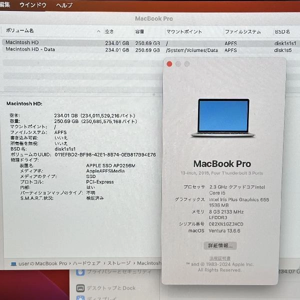 MacBook Pro 13インチ 2018  2.3GHz Core i5 8GB 256GB MR9U2J/A 極美品 シルバー