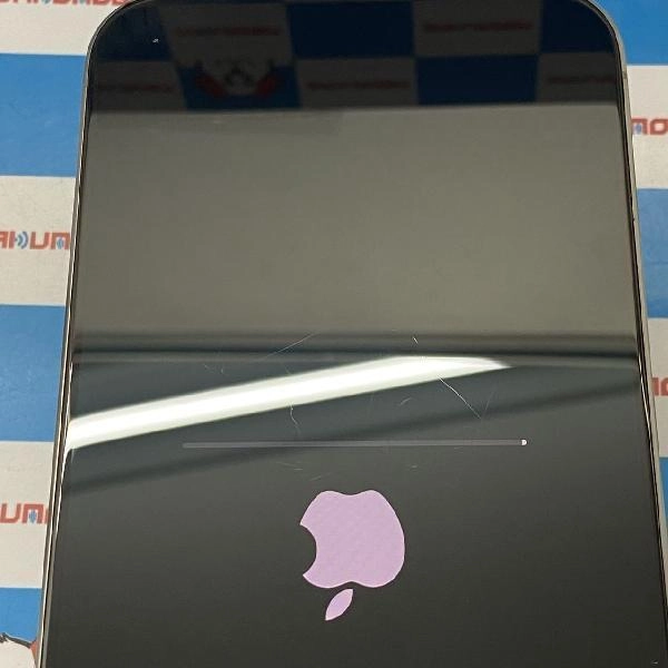 iPhone15 Pro Max 海外版SIMフリー 256GB MU793ZP/A A3106 ジャンク品 No 商品カラー