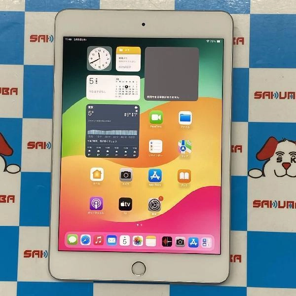 iPad mini 第5世代 au版SIMフリー 256GB MUXD2J/A A2124 極美品 シルバー