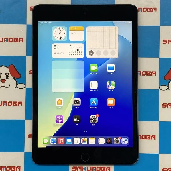 iPad mini 第5世代 Wi-Fiモデル 64GB MUQW2J/A A2133 スペースグレイ