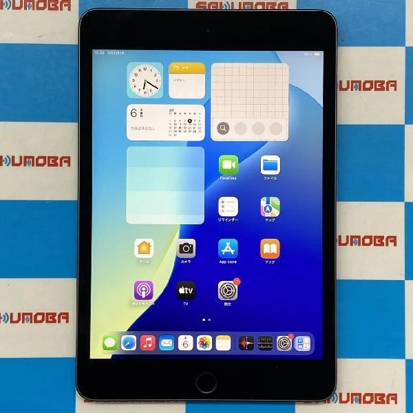 iPad mini 第5世代 Wi-Fiモデル 64GB MUQW2J/A A2133 美品 スペースグレイ