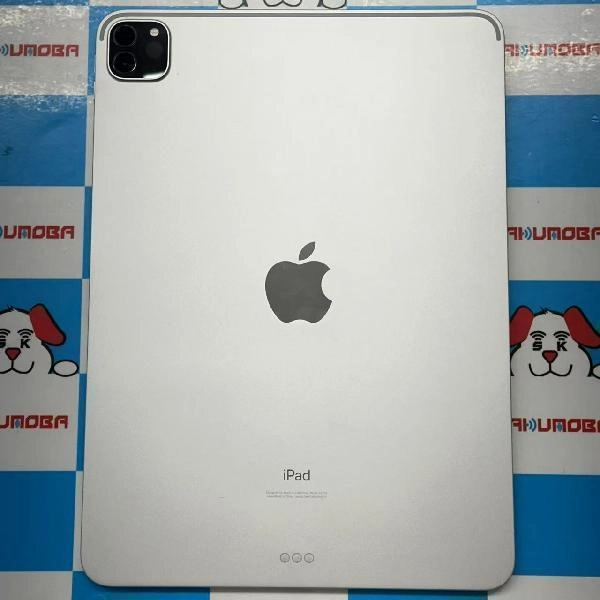 iPad Pro 11インチ 第2世代 Wi-Fiモデル 1TB MXDH2J/A A2228 極美品 シルバー