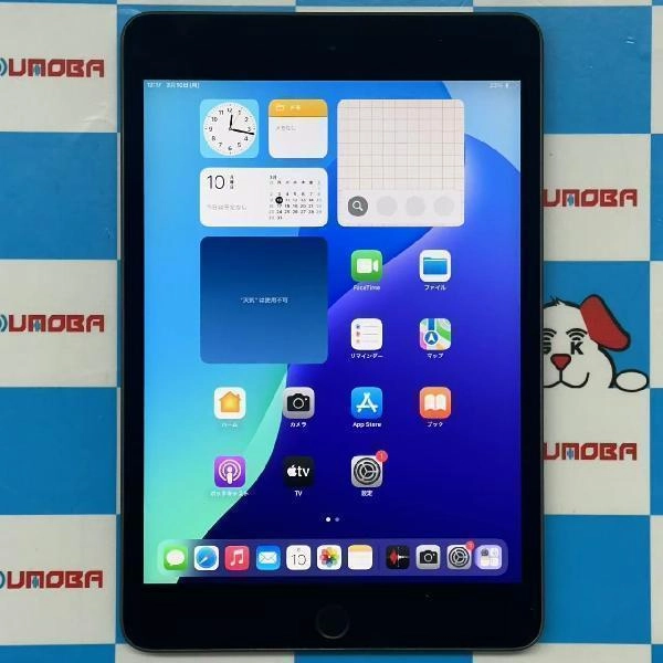 iPad mini 第5世代 Wi-Fiモデル 64GB MUQW2J/A A2133 スペースグレイ