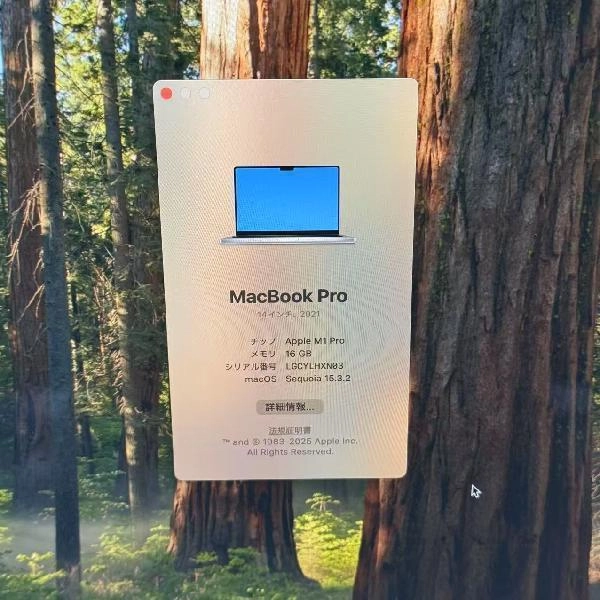 MacBook Pro 14インチ 2021 512GB MKGR3J/A A2442 美品 シルバー