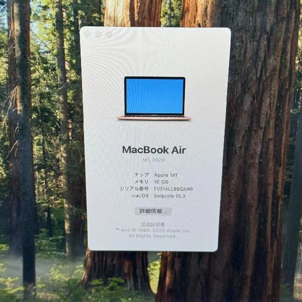 MacBook Air M1 2020 512GB A2337 極美品 ゴールド