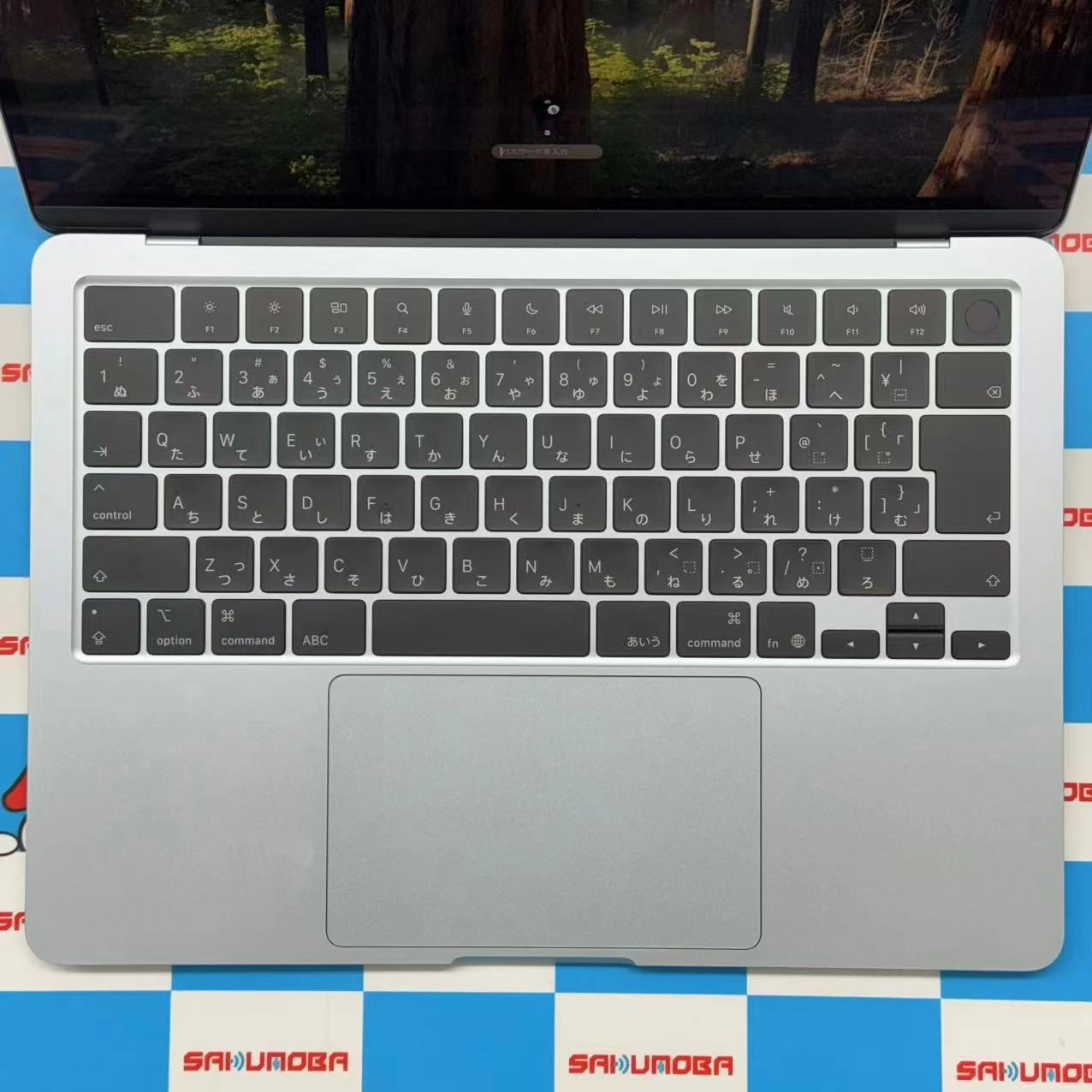 MacBook Air 13インチ Early2025 Apple M4 16GB/512GB 10GPU 10CPU スカイブルー MC6U4J/A 新品同様