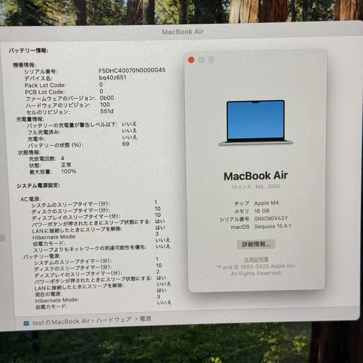 MacBook Air 13インチ Early2025 Apple M4 16GB/256GB 10CPU 8GPU スカイブルー MC6T4J/A 極美品