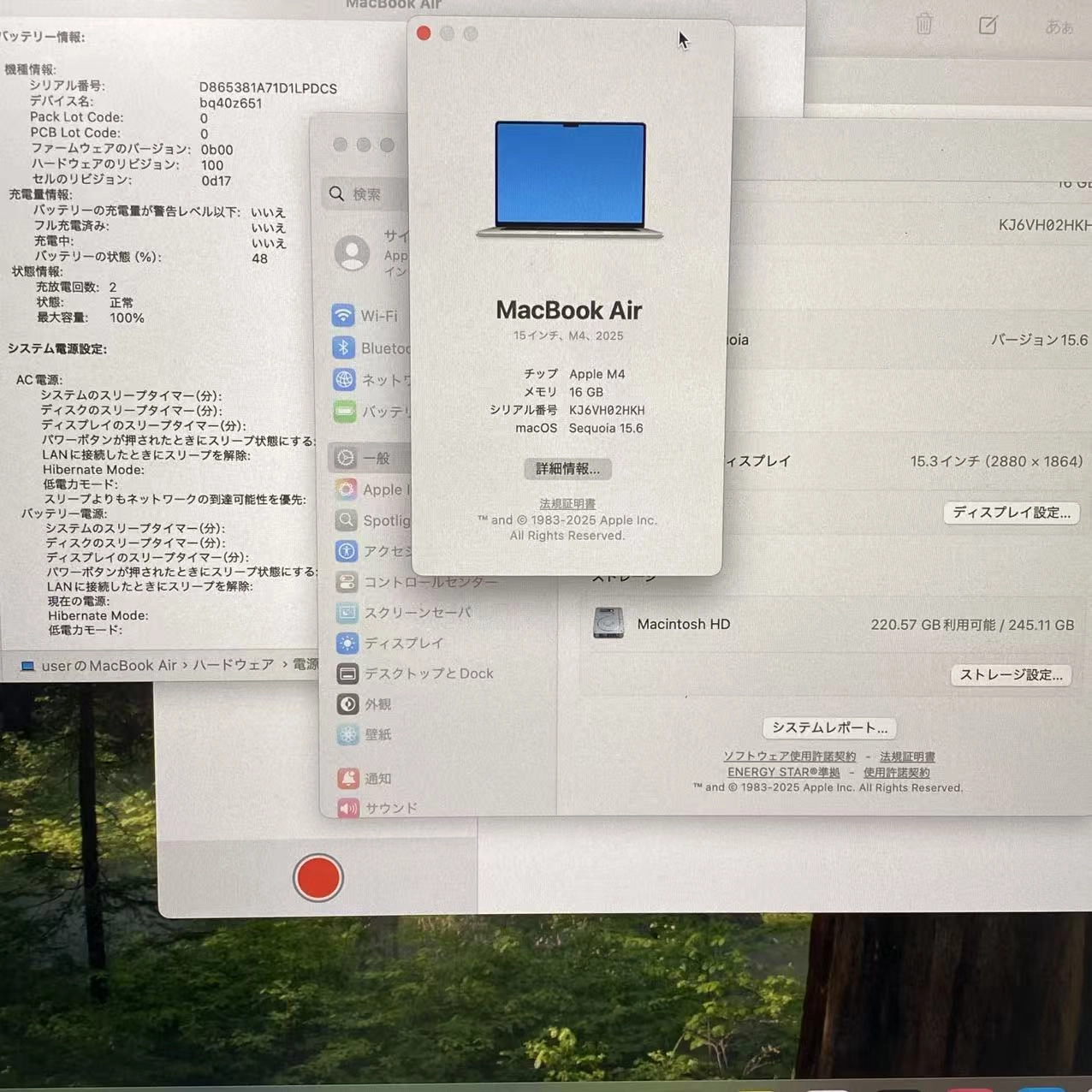 MacBook Air 13インチ Early2025 Apple M4 10CPU 10GPU 16GB/256GB シルバー z1db000ekj/a 極美品