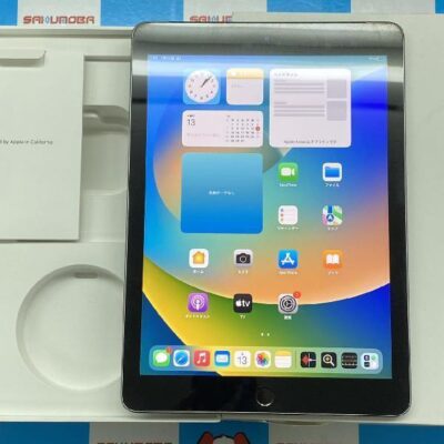 iPad 第6世代 docomo版SIMフリー 32GB MR6N2J/A A1954