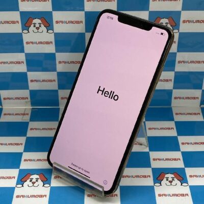 iPhoneXS Max docomo版SIMフリー 64GB MT6T2J/A A2102 美品