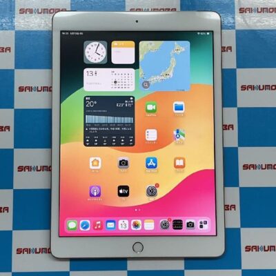 iPad 第7世代 SoftBank版SIMフリー 32GB MW6D2J/A A2198