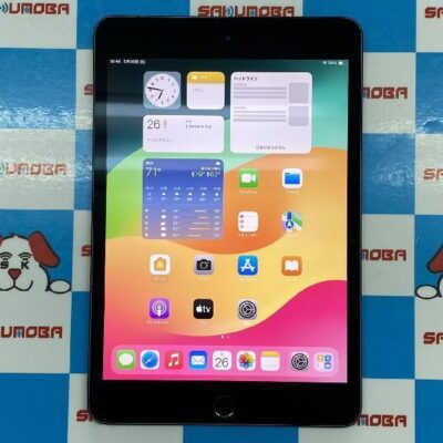 iPad mini 第5世代 Apple版SIMフリー 64GB MUX52J/A A2124 極美品