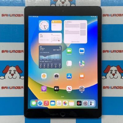 iPad 第7世代 docomo版SIMフリー 32GB MW6A2J/A A2198