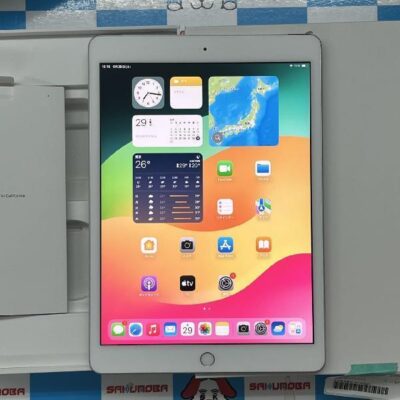 iPad 第8世代 docomo版SIMフリー 128GB MYMM2J/A A2429 訳あり品