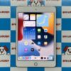 iPad mini 第5世代 Wi-Fiモデル 256GB MUU62J/A A2133 極美品-正面