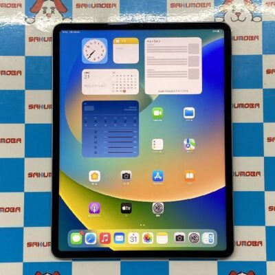 iPad Pro 12.9インチ 第6世代 Wi-Fiモデル 256GB MNXR3J/A A2436 極美品