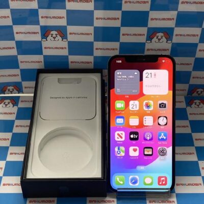 iPhone12 Pro docomo版SIMフリー 256GB MGM93J/A A2406 美品