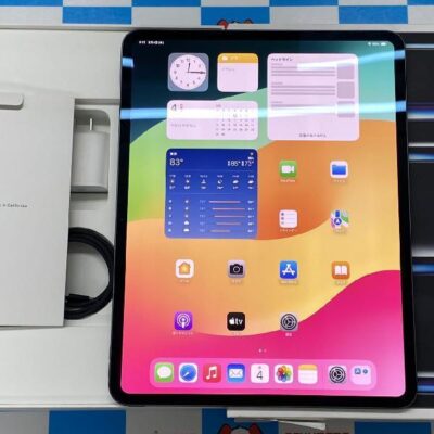 iPad Pro 13インチ 第1世代 Wi-Fiモデル 256GB MVX23J/A A2925 新品同様