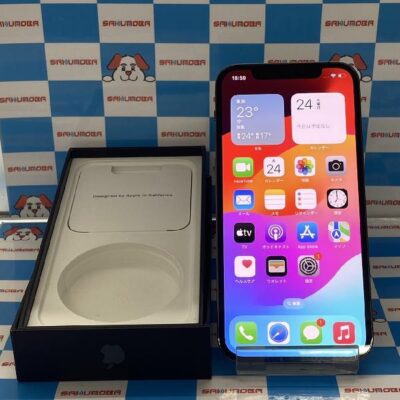 iPhone12 Pro docomo版SIMフリー 256GB MGM93J/A A2406 美品