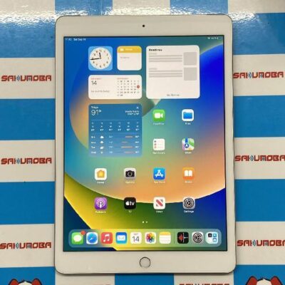 iPad 第7世代 SoftBank版SIMフリー 32GB MW6C2J/A A2198 極美品