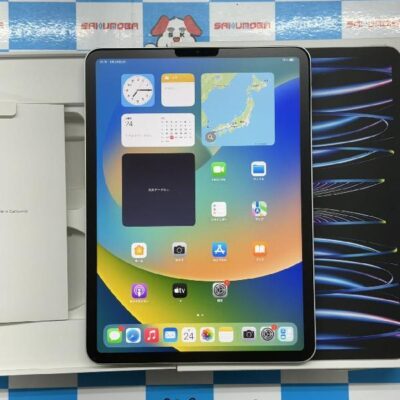 iPad Pro 11インチ 第4世代 Wi-Fiモデル 256GB MNXG3J/A A2759 新品同様