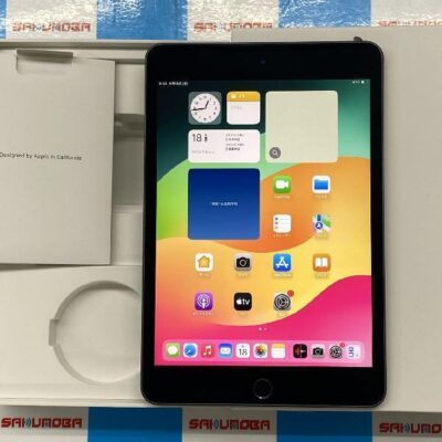 iPad mini 第5世代 Wi-Fiモデル 256GB MUU32J/A A2133 極美品