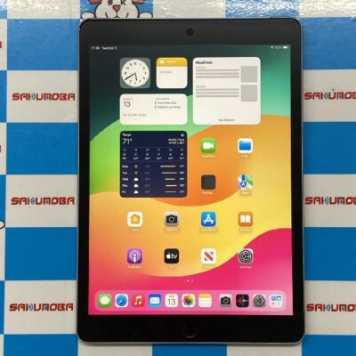 iPad 第9世代 docomo版SIMフリー 256GB MK4H3J/A A2604 極美品