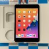 iPad mini 第5世代 Wi-Fiモデル 256GB MUU32J/A A2133-正面