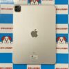 iPad Pro 11インチ 第2世代 Wi-Fiモデル 512GB MXDF2J/A A2228 極美品-裏