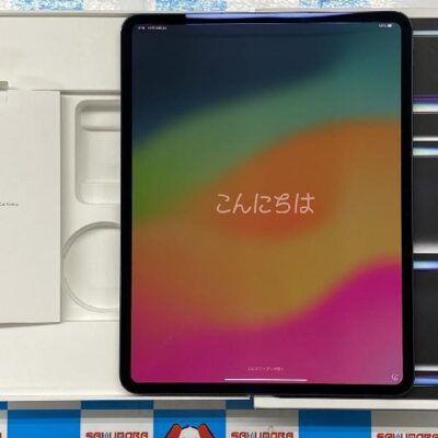 iPad Pro 13インチ 第1世代 SoftBank版SIMフリー 256GB MVXR3J/A A2926 極美品