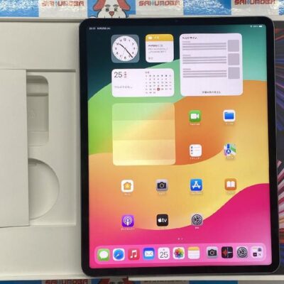 iPad Pro 12.9インチ 第5世代 Wi-Fiモデル 512GB MHNK3J/A A2378 極美品