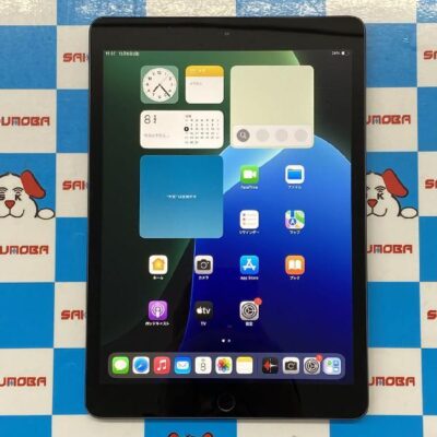 iPad 第7世代 Wi-Fiモデル 32GB MW742LL/A A2197 美品